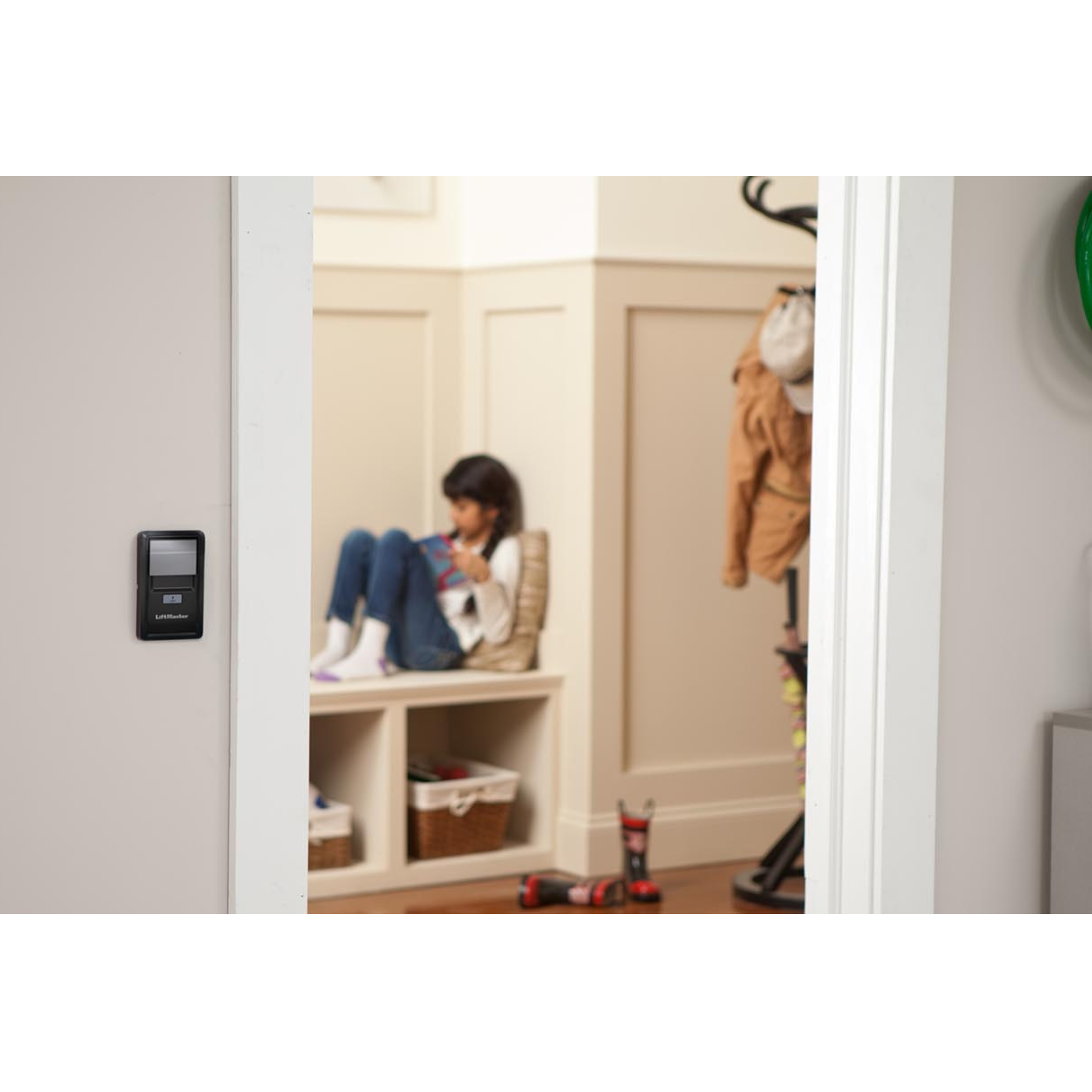 Remotes & Keypads
